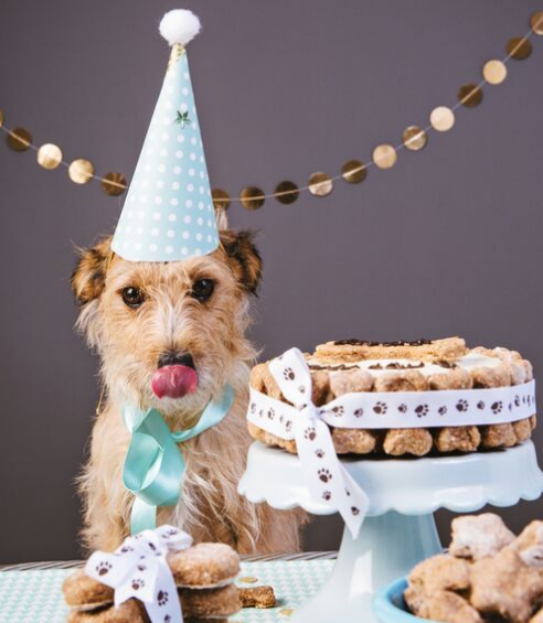 Recetario de Pastelería Canina Tomo 3