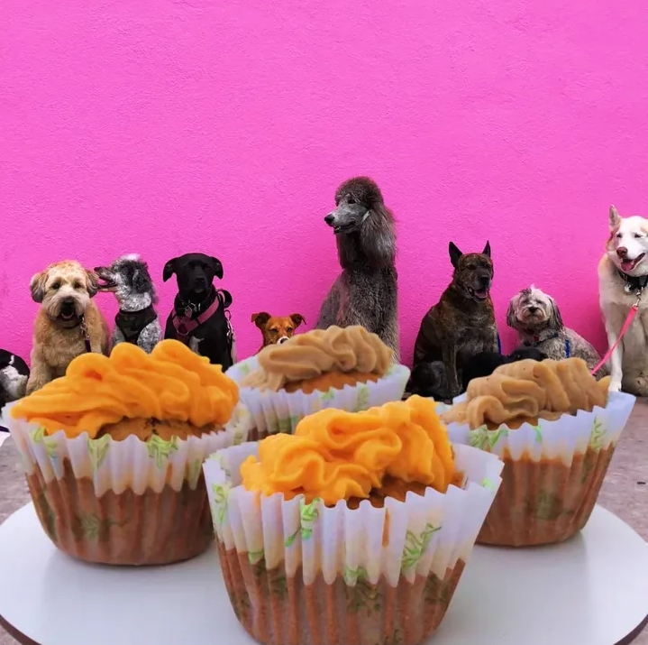 Recetario de Pastelería Canina Tomo 1