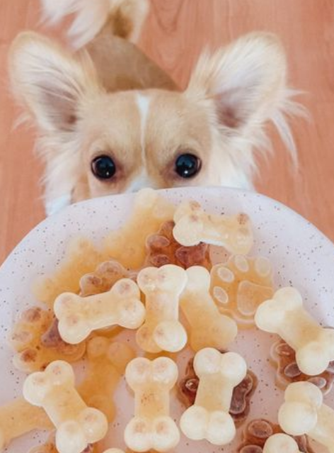 Recetario de Pastelería Canina Tomo II