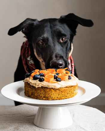 Recetario de Pastelería Canina Tomo III